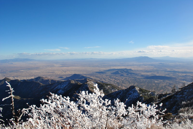 View south from up top