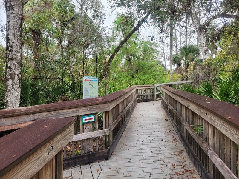 Boardwalk over Hickey's Creek. Go left to stay on Hickey's Creek Trail, or straight for the North Marsh Trail.