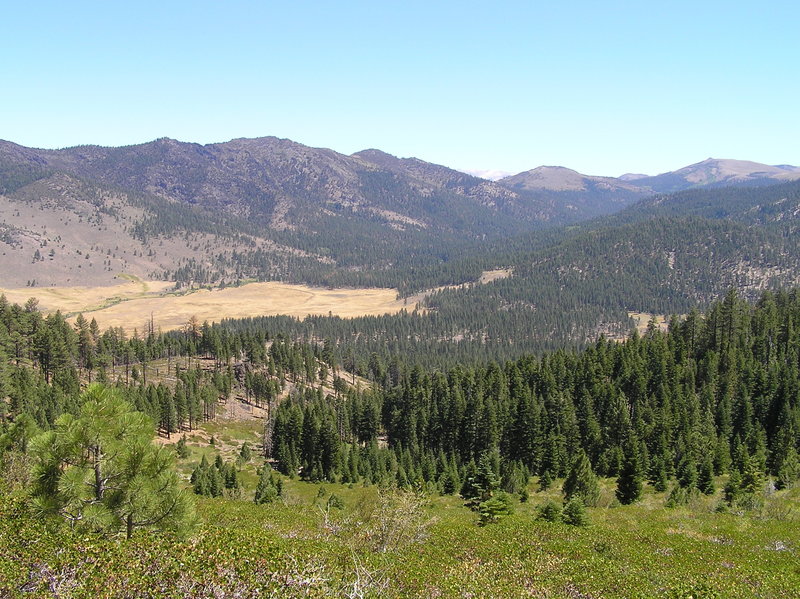 Lower end of Silver King Valley where Silver King Creek joins East Fork Carson River.