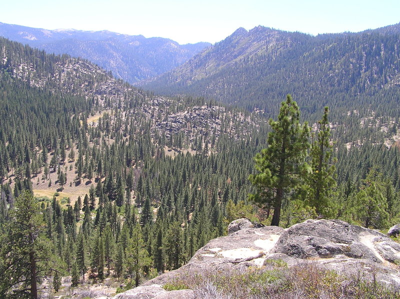 View southwest from trail towards East Fork Carson River.