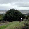 She is walking her dog on a slippery trail on a drizzly day.