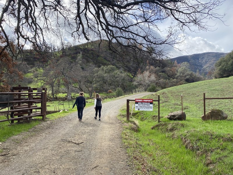 The road is public. The sides are private property.