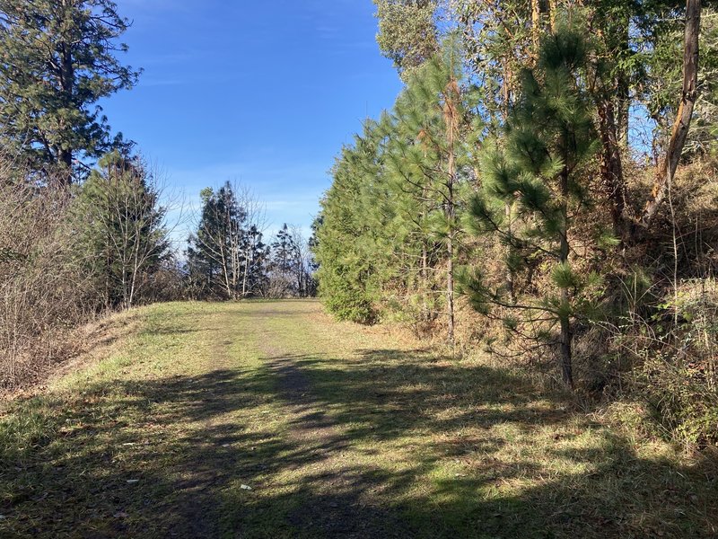 On the loop trail.