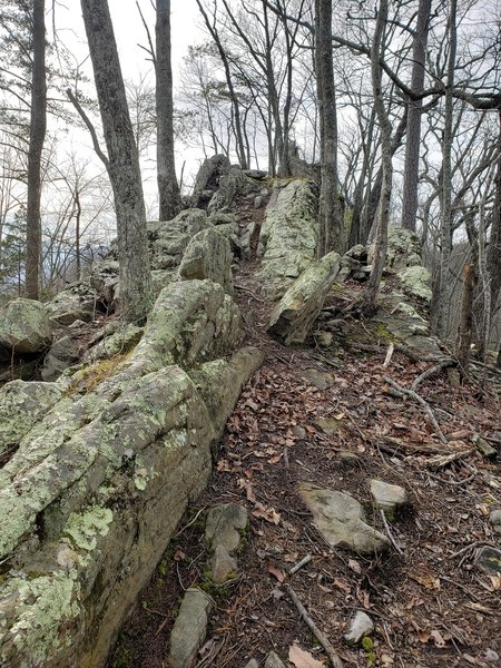 Follow the trail on the ridgeline through the rocks.