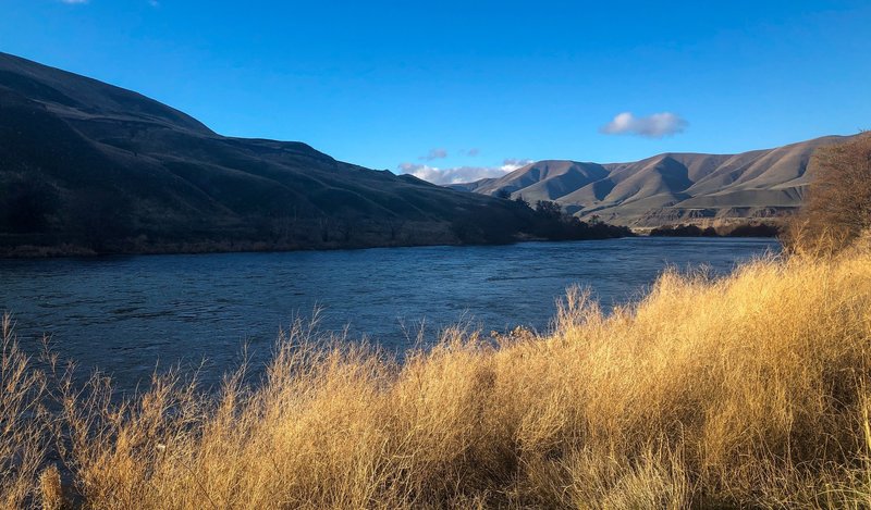 Along the lower Deschutes River Trail.