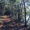 The best parts of this trail is when the trail hugs the creek.