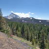 North Sister and 4-in-1 Cone from trail