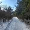 Main Lost Lake trail in winter with snowmobiling tracks.