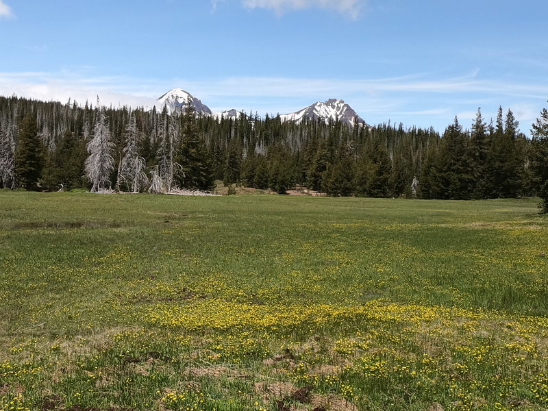 Middle and North Sister from Park Meadow.