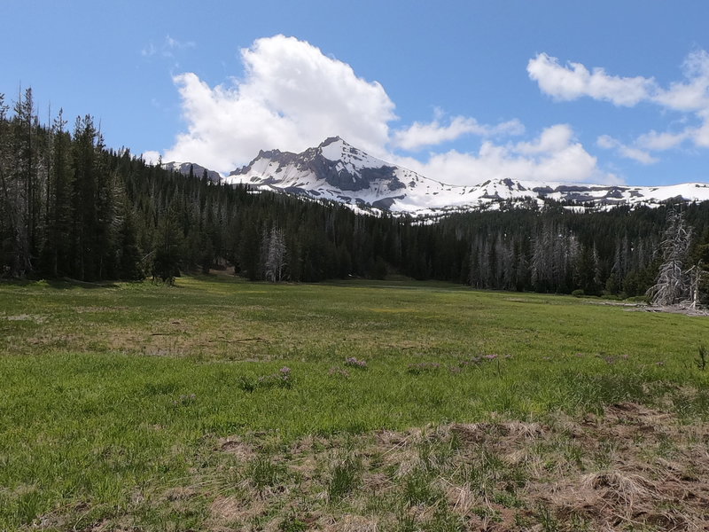 Broken Top from Park Meadow