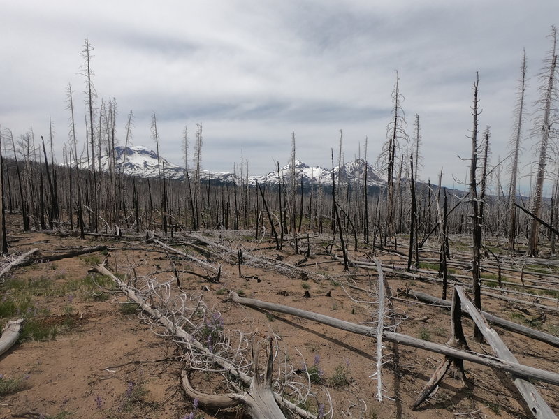 3 Sisters from Park Meadow trail