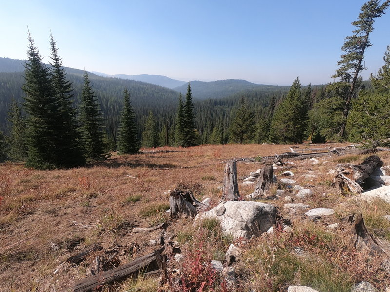 View along Crawfish Lake trail (10-01-2020)