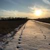 Southwest sun on the fresh snow.