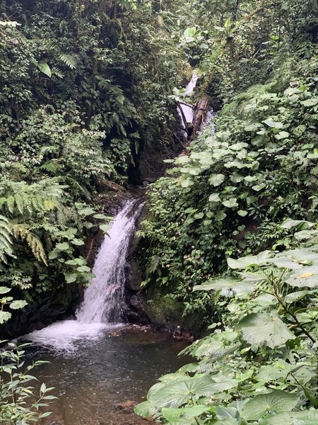 Cuecha Falls