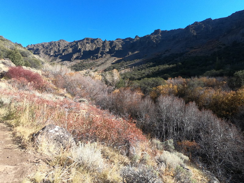 Fall colors near the start of the Little Blitzen Gorge (10-29-2020).