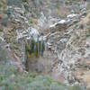 Trail Canyon Falls