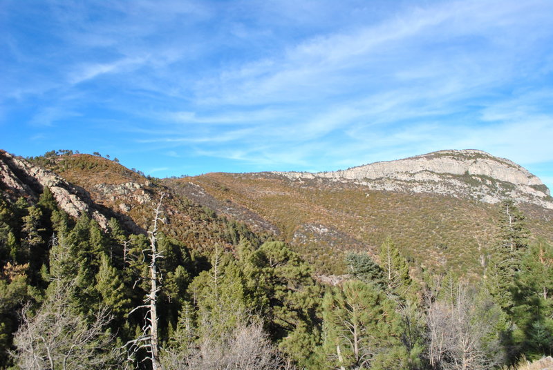 Ramsey Peak from western end of Pat Scott Canyon trail (#123)