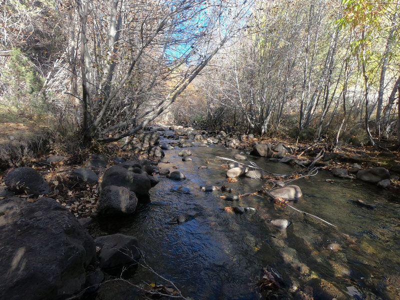 Little Blitzen Gorge Trail crossing the Little Blitzen River near the trailhead (10-29-2020).