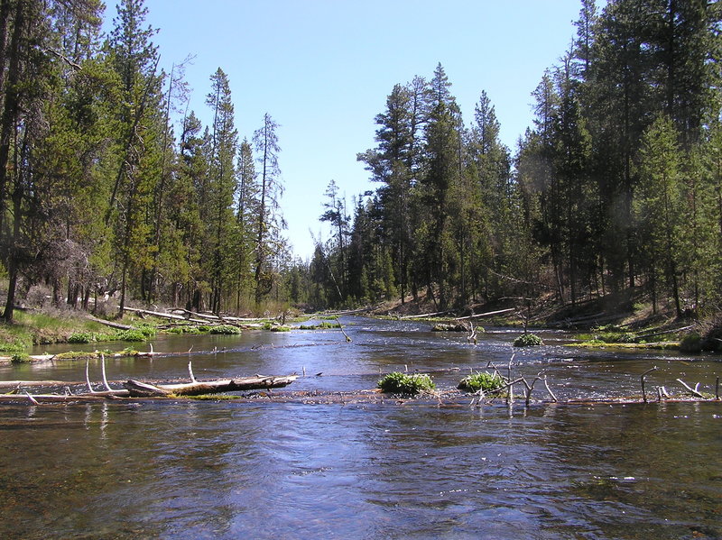 Upper section of Falls River (05-08-2017)