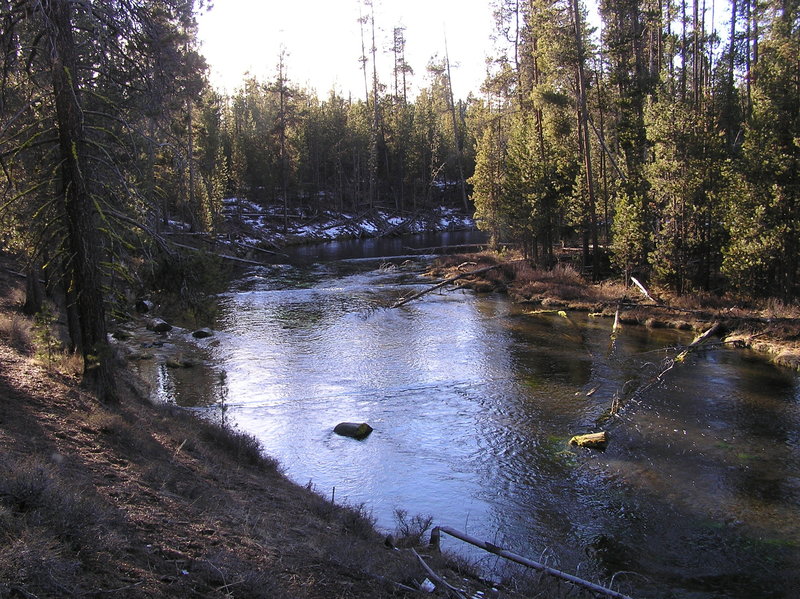 Fall River near bend (actually on trail on south side of river) (12-30-2017)