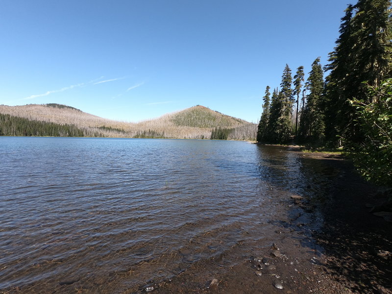 Mowich Lake (08-22-2019)