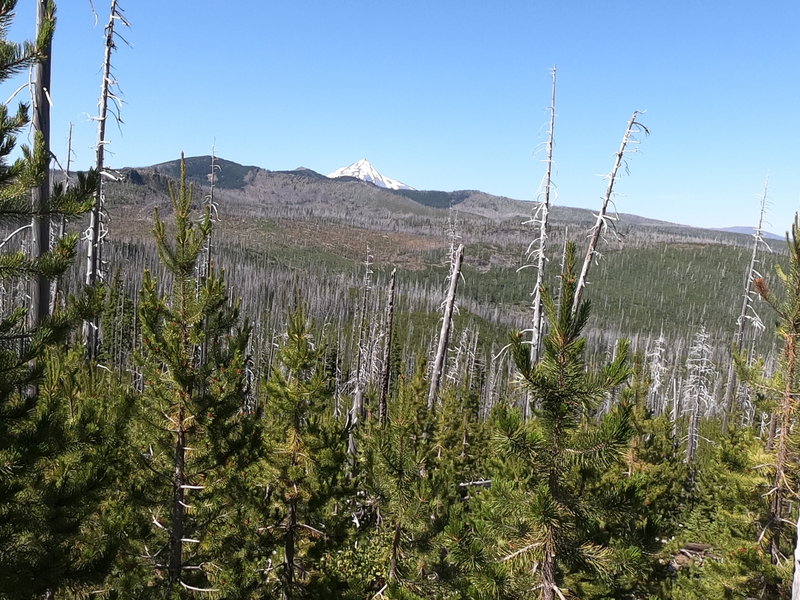 Mt. Jefferson from trail (07-14-2020)