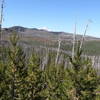 Mt. Jefferson from trail (07-14-2020)