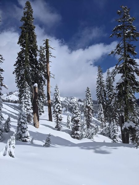 A beautiful view of Lassen National Park in the winter from the trail to Forest Lake.