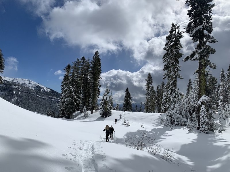 An amazing view from the trail to Forest Lake while snowshoeing on a winter day.