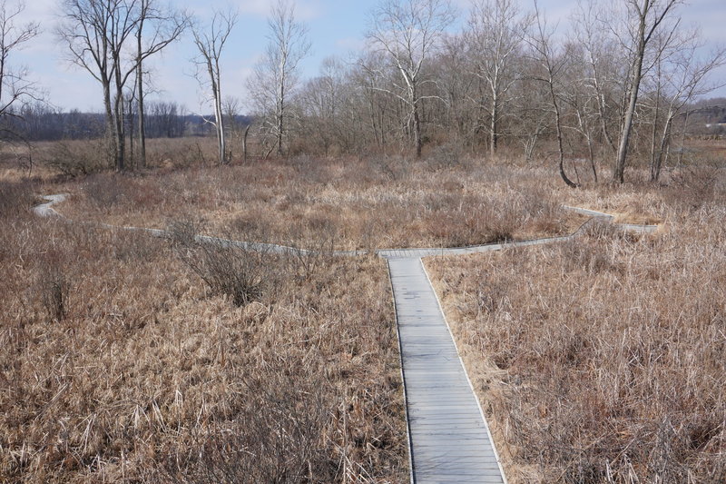 Boardwalk