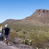 Hikers in the ashy landscape of the Ringtail Trail.