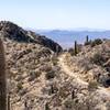 Looking down the final stretch of trail to Wasson Peak.