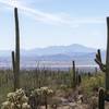 The distant Coyote Mountains from the Gould Mine Trail.