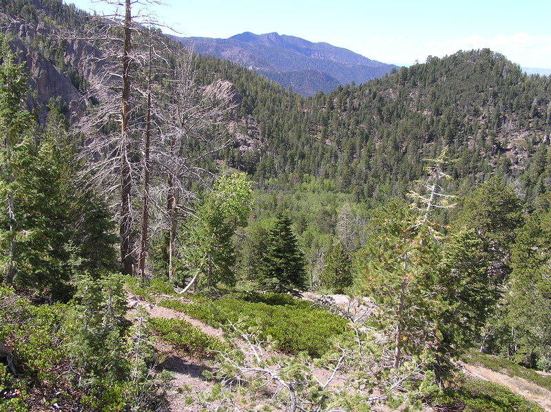 Signal Peak from Whipple Trail. (09-25-2011)