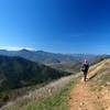 Along the upper part of the trail, with Tallowbox Mountain in the distance.