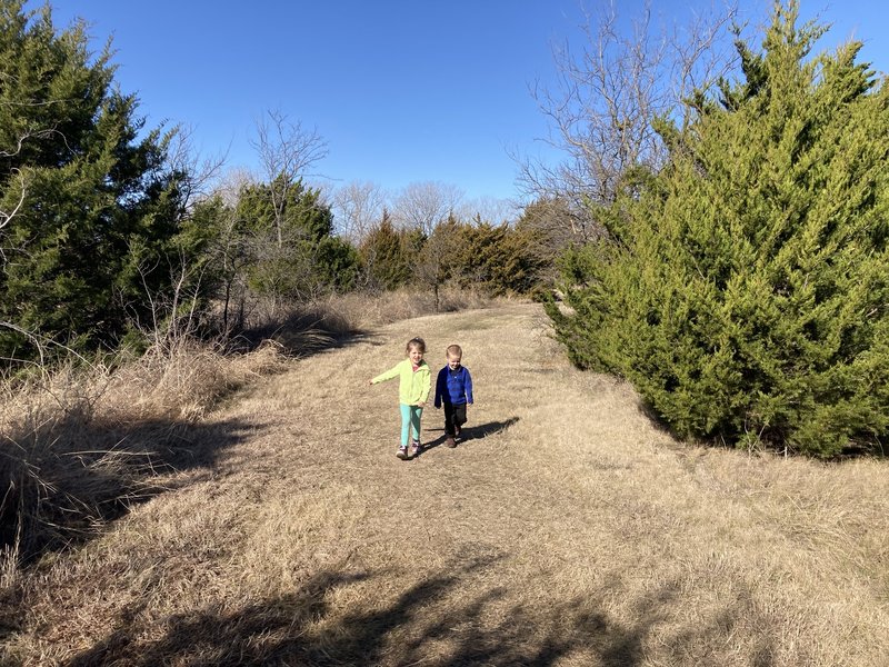 Wide path through the Juniper Scrub.