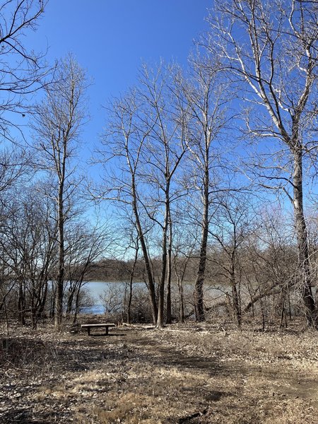 Bench under the Cottonwoods.