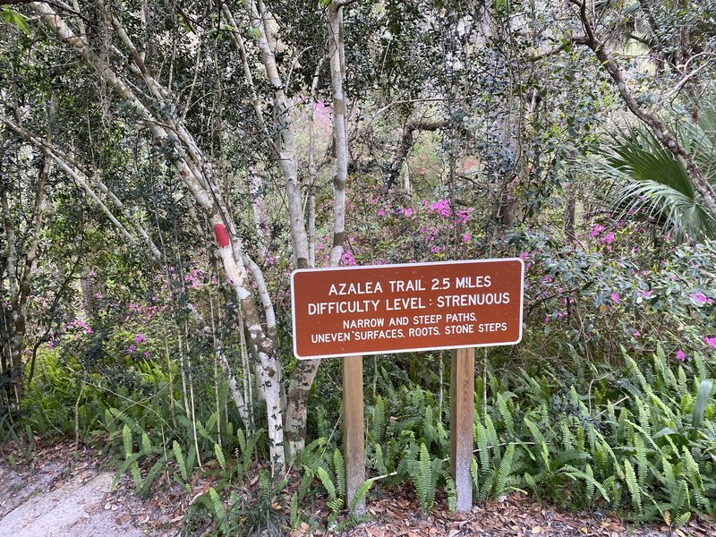 Trailhead to the Azalea Trail