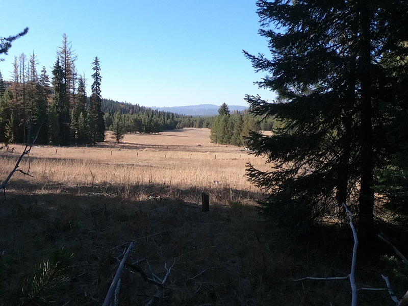 Herren Meadow (10-20-2019)