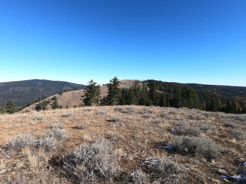 Round Mtn (L) and Bald Mtn (Center) from Little Baldy Mtn. (10-29-2019)