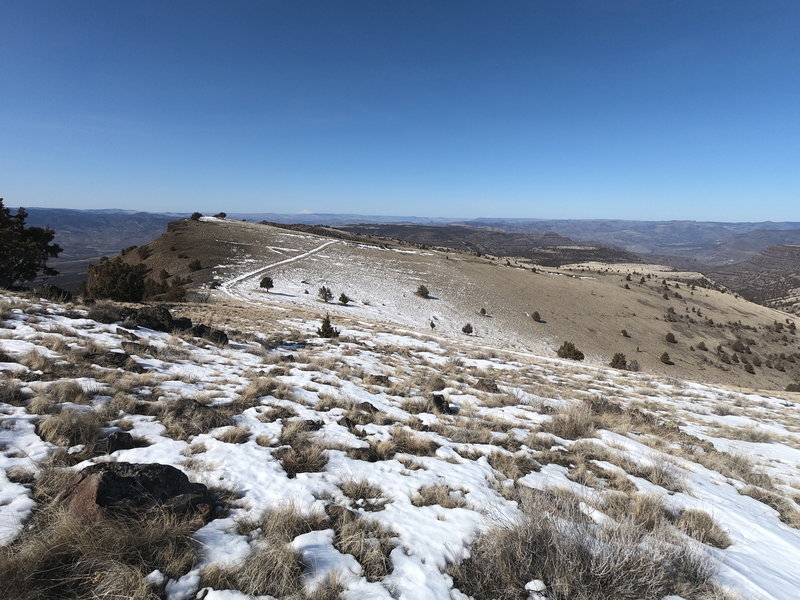 View northwest from summit of Sutton Mtn (03-03-2021).