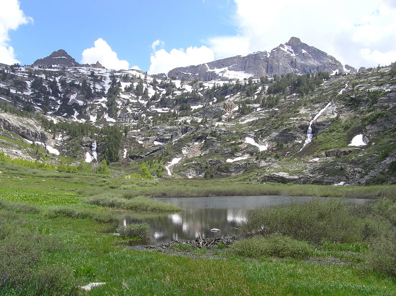 End of Thomas Creek trail showing Mt. Fitzgerald and beaver pond. (06-26-2009)