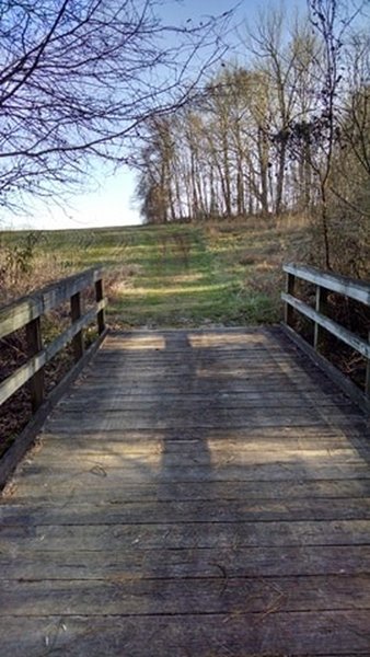 Crossing the bridge and coming out to the field.