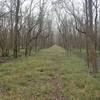 Miles Trail, old farm road, typical scenery.