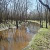 Bauer Trail, south part, Turkey Creek can be quite lovely! It is very shallow here.