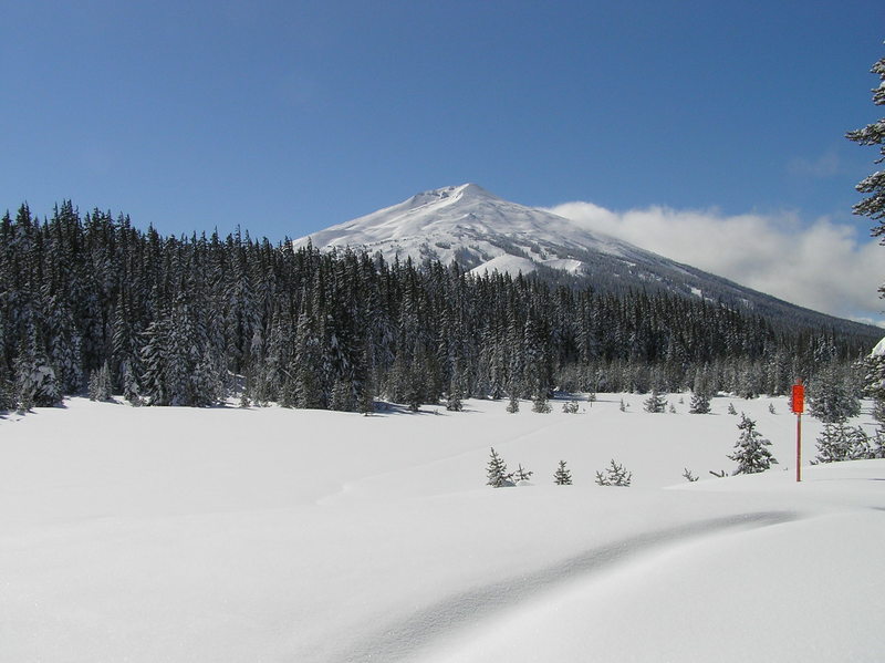 Mt. Bachelor from trail (03-13-2019)