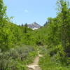 Mt. Fitzgerald appears as you enter Thomas Canyon (06-26-2009)