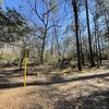 Burroughs Park Extension TrailHead Spring Creek Trail.