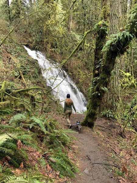 Approaching Woodburn Falls with lots of water flowing.