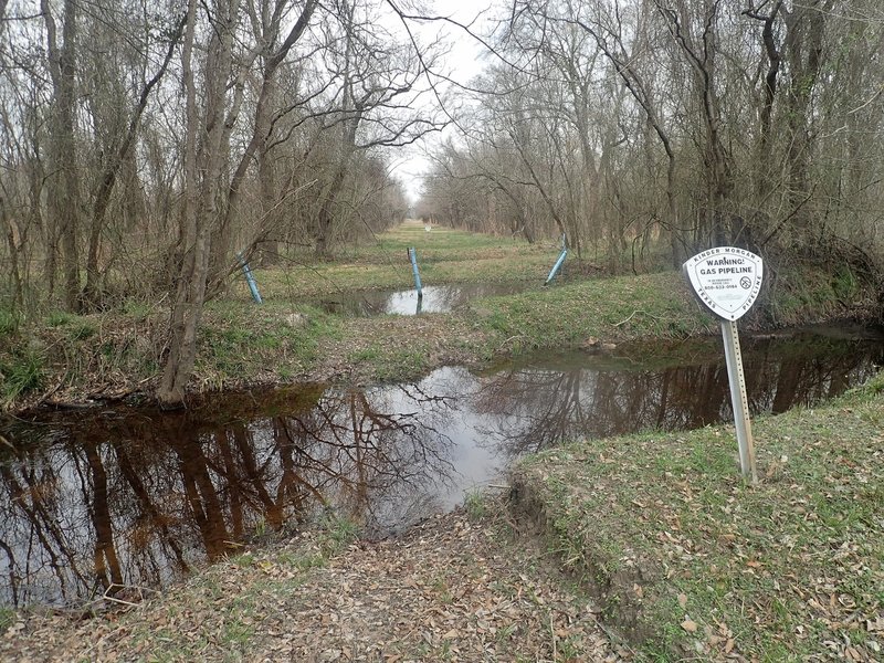 The pipeline cut paralleling Eldridge can be very soggy, with some water crossings like these.